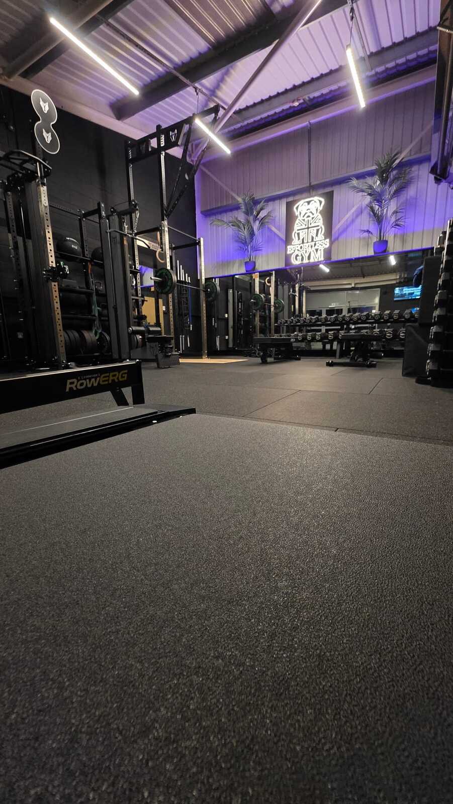 Clean modern gym space